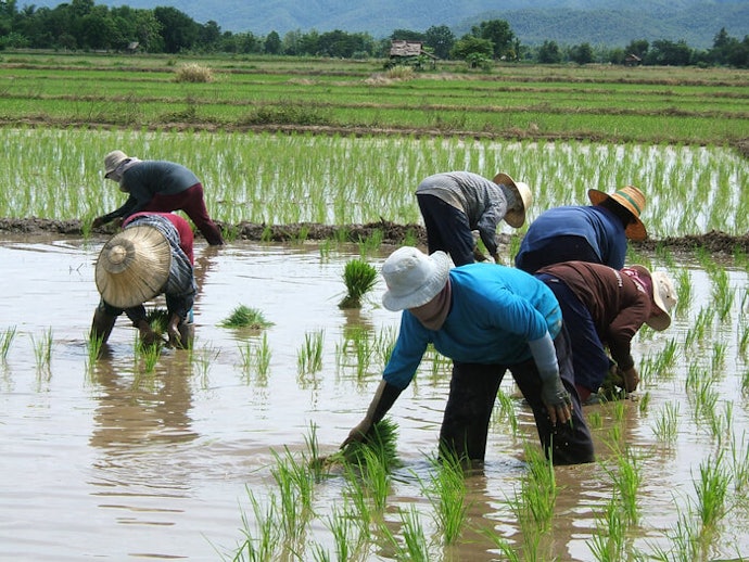 Rintangan berat dari sisi produsen