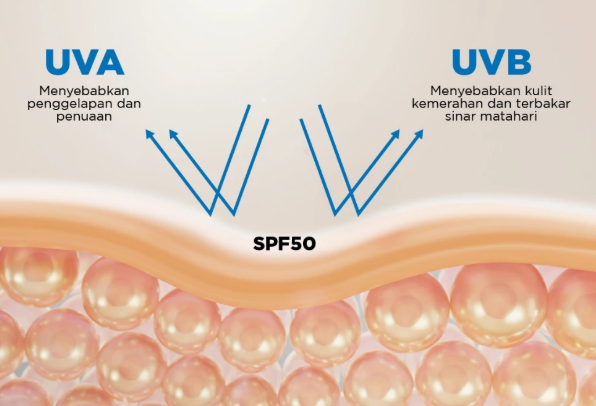 Namun, untuk Anda yang memiliki masalah pigmentasi, utamakan sunblock badan SPF 50 dan PA++++