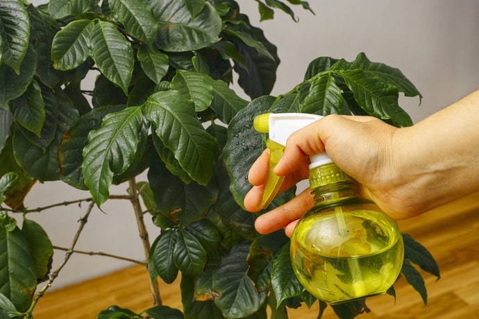 Botol transparan atau botol dengan skala ukur, membuat isinya mudah dilihat