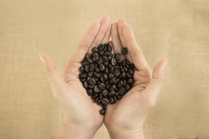 Kopi arabika, rasanya lebih manis dengan aroma yang lembut