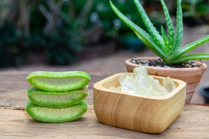 Untuk mengatasi rambut rontok, pilih hair creambath yang mengandung Aloe vera atau ginseng