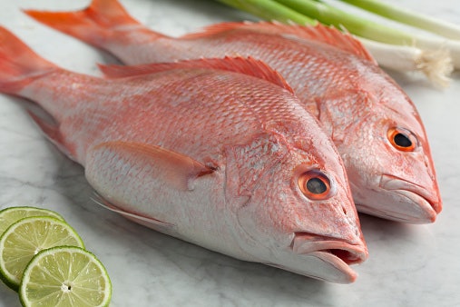 Ikan air tawar: Ikan lele, kakap, patin, dan bawal