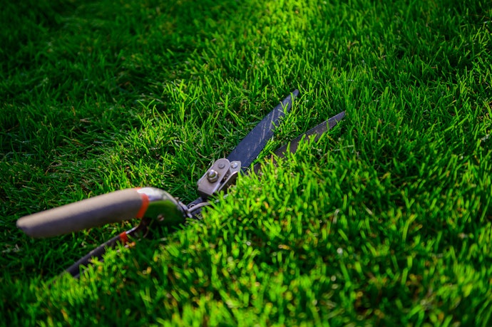 Swivel grass shear: Fleksibel dengan mata pisau yang bisa diputar ke berbagai arah