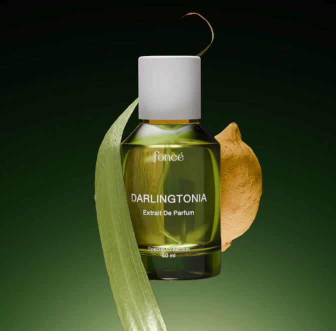Fonce - Darlingtonia: Wangi citrus dipadukan dengan aroma green yang clean dan segar