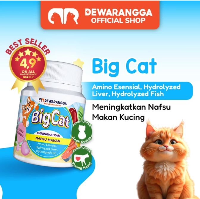 Untuk kucing kurus atau malnutrisi: Pilih vitamin penambah nafsu makan yang dikombinasikan dengan pakan bernutrisi tinggi