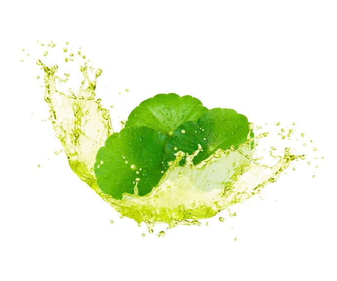 Bahan antibakteri seperti tea tree oil dan Centella asiatica: Mengurangi peradangan akibat jerawat