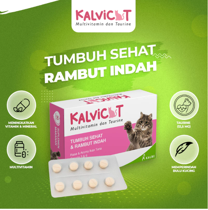 Untuk menjaga kesehatan mata, retina, otot jantung dan sendi kucing: Pilih vitamin yang mengandung taurine