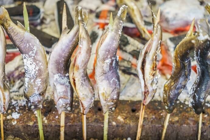 Ikan dan daging berwarna cerah: Butiran garam besar yang tidak terlalu asin