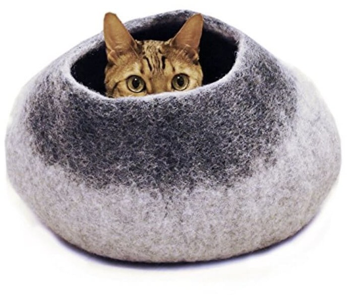 Tempat tidur body fit: Lebih safety bagi kucing