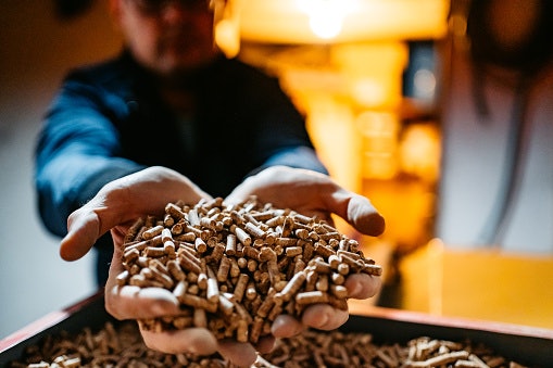 Pelet, dapat memenuhi kebutuhan nutrisi burung