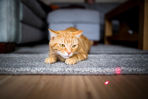Laser atau mainan menyala, praktis dan mudah dimainkan di mana saja