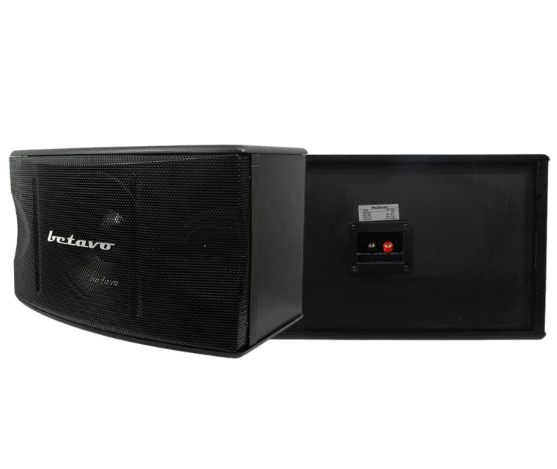 Speaker pasif 10-12 inch: Ideal untuk ruangan besar seperti gedung serbaguna atau aula
