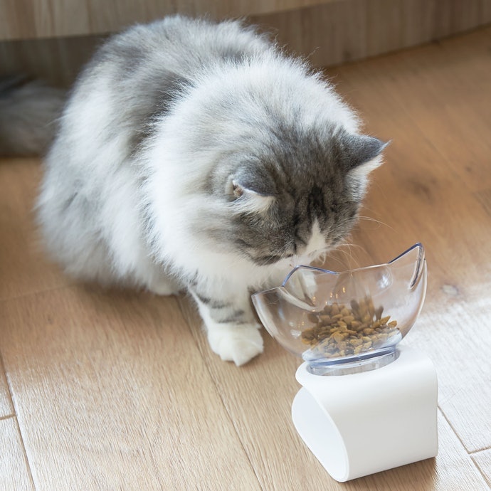 Tinggi bowl, pastikan kucing dapat menjangkaunya dengan nyaman