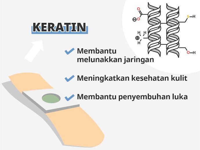 Keratin, protein yang melembutkan kulit