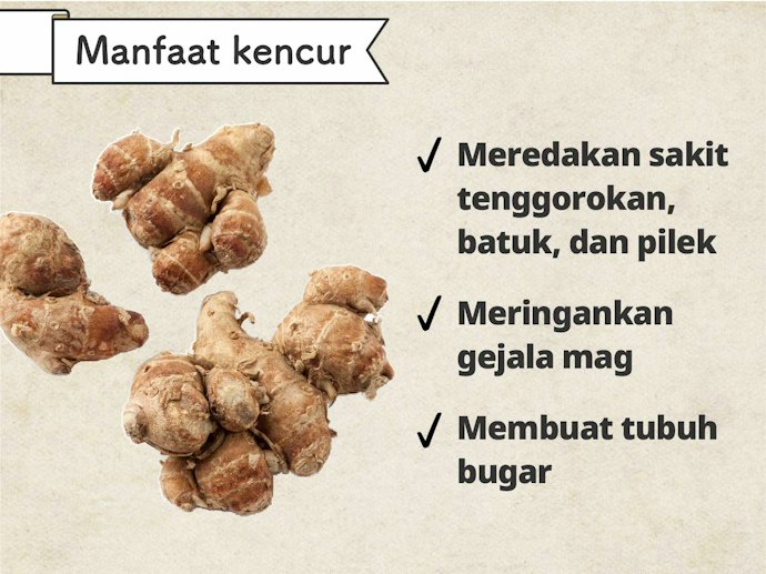 Kencur: Membantu meredakan sakit tenggorokan dan pilek