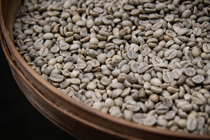 White coffee, hasil seduhannya terasa seperti susu dan harum
