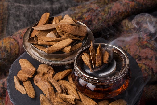 Woody: Aroma gentleman yang hangat dan memikat