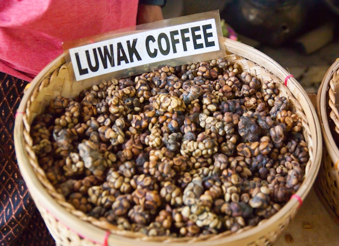 Biji kopi, cocok untuk yang memiliki alat penggiling kopi dan memprioritaskan rasa