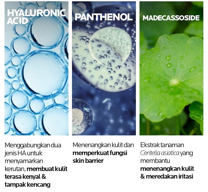 Untuk kulit kering, utamakan serum yang mengandung pelembap emolien dan humektan