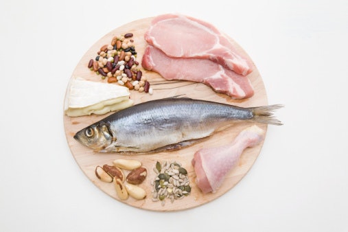 Protein, membantu pertumbuhan kura-kura