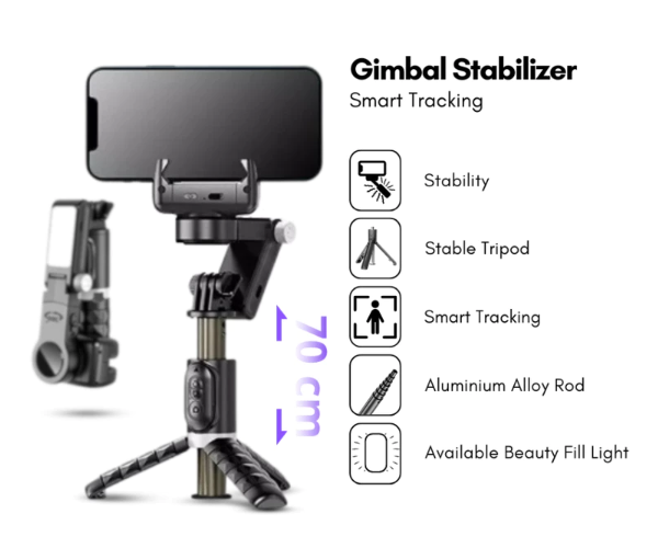 Stabilizer: Meningkatkan stabilitas gambar saat merekam
