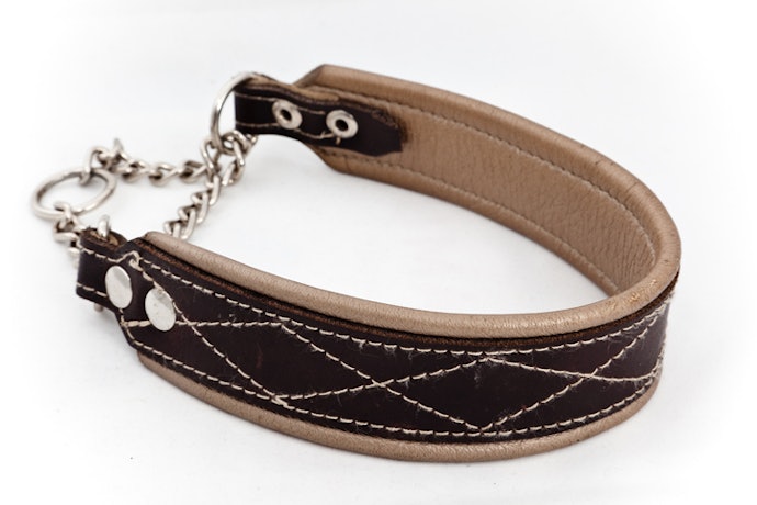 Tipe half choke chain, cocok bagi Anda yang baru memelihara anjing