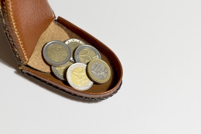 Tipe dompet koin, untuk yang masih pemula