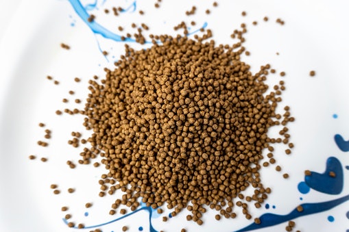 Tipe pellet dan stick, cocok untuk ikan yang lebih besar
