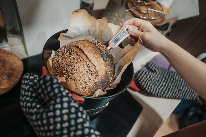 Termometer tusuk: Didesain untuk makanan bertekstur padat