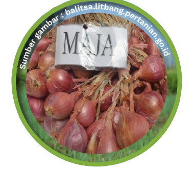 Varietas Maja Cipanas, jenis yang mudah berbunga sendiri