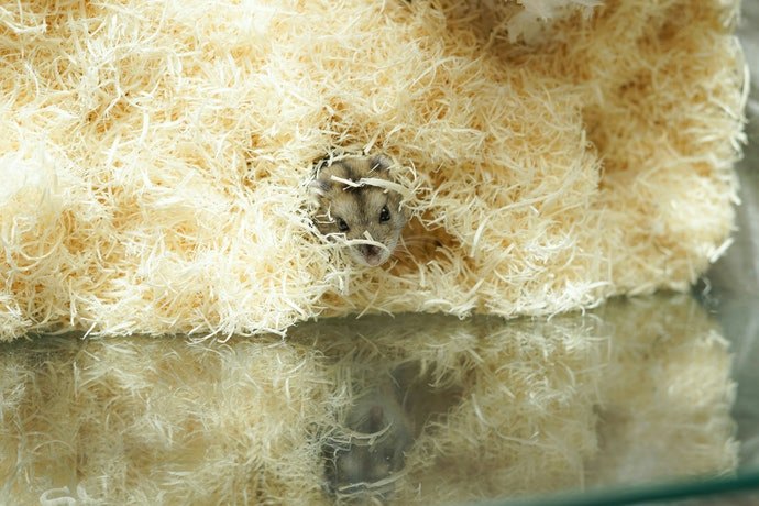 Kandang aquarium, aman dan jarang bermasalah