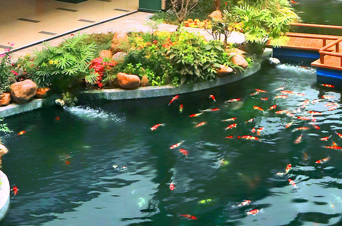 Untuk akuarium dan kolam ikan, pilih pompa air celup
