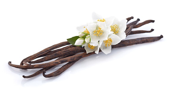 Jasmine dan sweet scent, dinamika aromanya unik