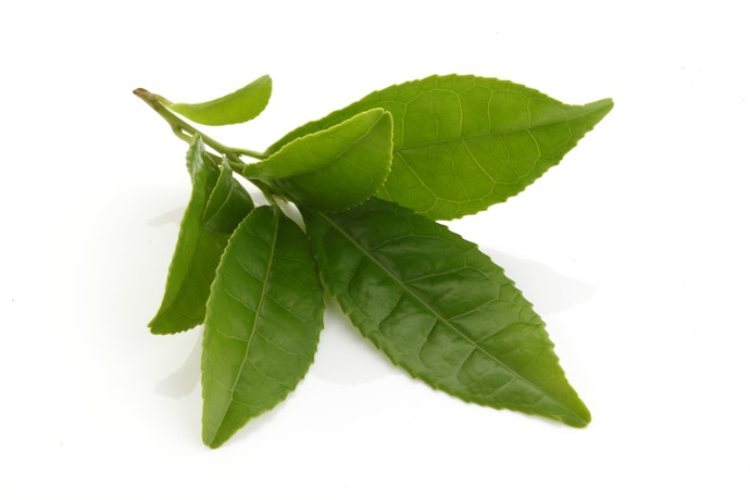 Pilih yang punya sifat oil control seperti silica, niacinamide, green tea, dan salicylic acid