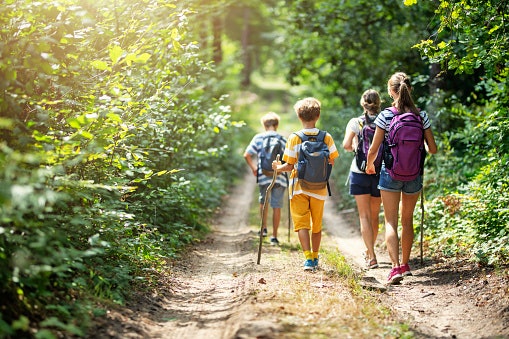 Daypack hiking, untuk Anda yang gemar berjalan