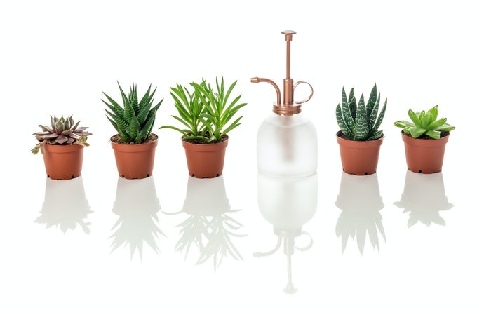 Semprotan dari botol kaca dan berbentuk aesthetic, bisa jadi penghias interior