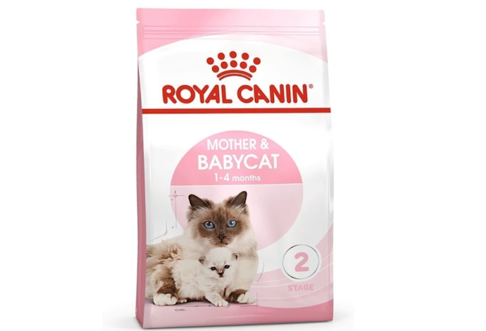 Kucing hamil dan menyusui butuh protein yang setara dengan kitten