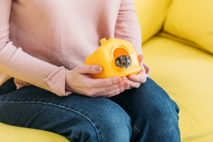 Kandang Travel, bawa hamster ke luar rumah dengan mudah