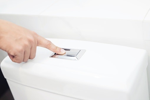 Dual flush, lebih hemat air dengan dua pengaturan