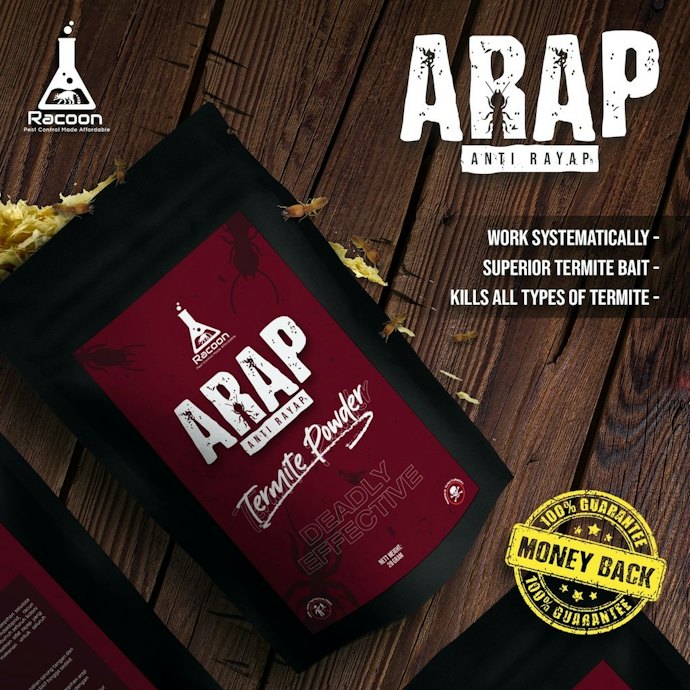 Untuk membasmi rayap subterranean, pilih obat rayap bentuk umpan