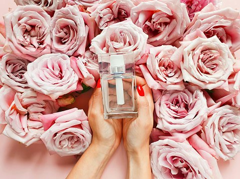 Longevity: Keawetan parfum saat dipakai