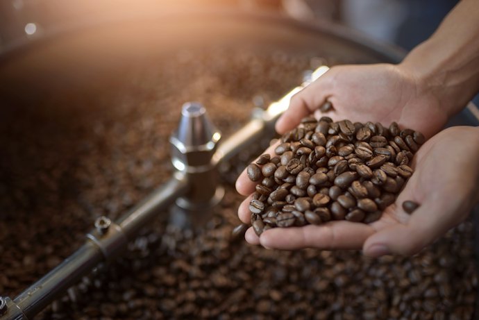 Kopi robusta, lebih pahit dan aromanya kuat