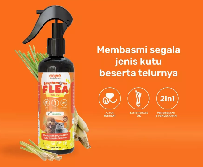 Semprot, alternatif untuk kucing atau kitten yang belum bisa menerima obat kutu