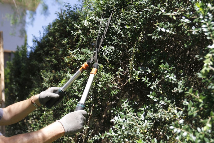Wavy hedge shear: Ujung mata pisau bergelombang agar hasil potongannya bagus