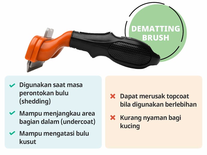 Tipe khusus undercoat, untuk kucing dalam periode shedding