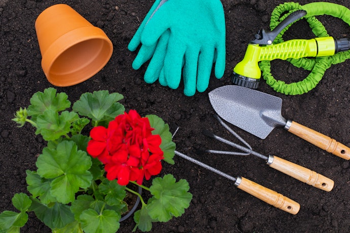 Sekop tanaman, memudahkan aktivitas berkebun