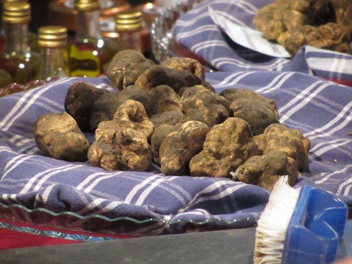 White truffle: Berasal dari Italia dan memiliki aroma yang kuat
