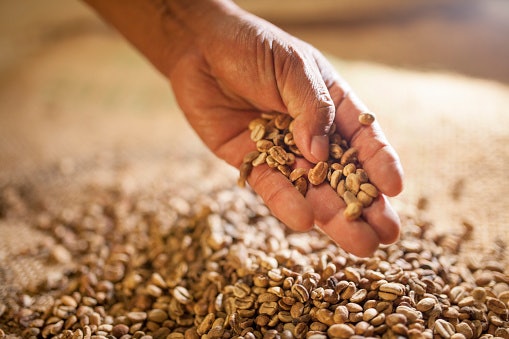Light roast: Rasanya lebih fruity dan sedikit asam