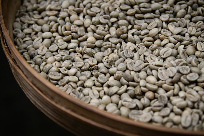 White coffee, hasil seduhannya terasa seperti susu dan harum